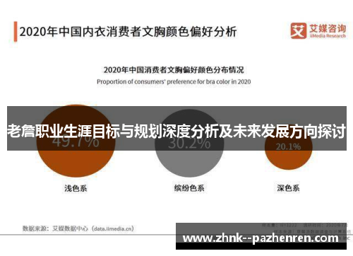 老詹职业生涯目标与规划深度分析及未来发展方向探讨