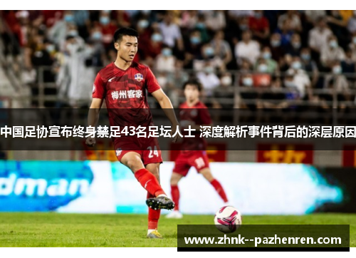 中国足协宣布终身禁足43名足坛人士 深度解析事件背后的深层原因